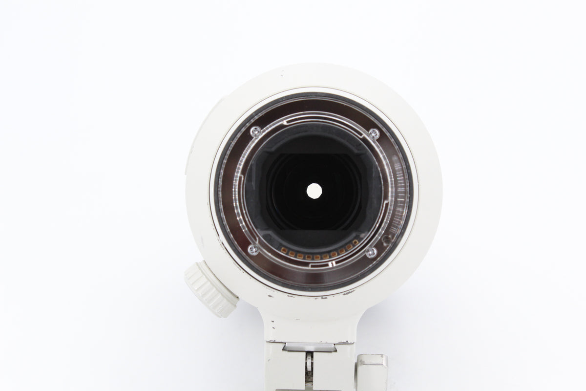 Sony FE 100-400mm f/4.5-5.6 GM OSS (occasion) #2