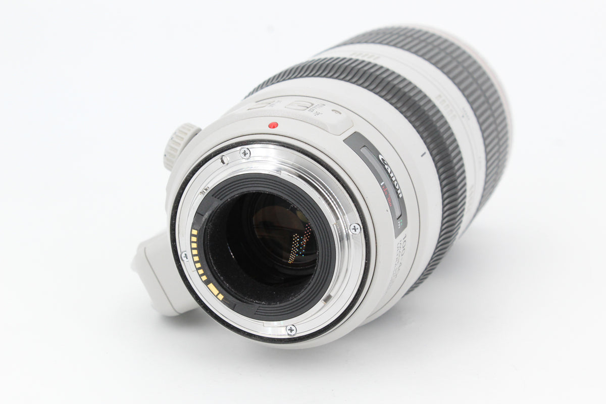Objectif Canon EF 100-400mm f/4.5-5.6 L IS II USM (occasion) #2
