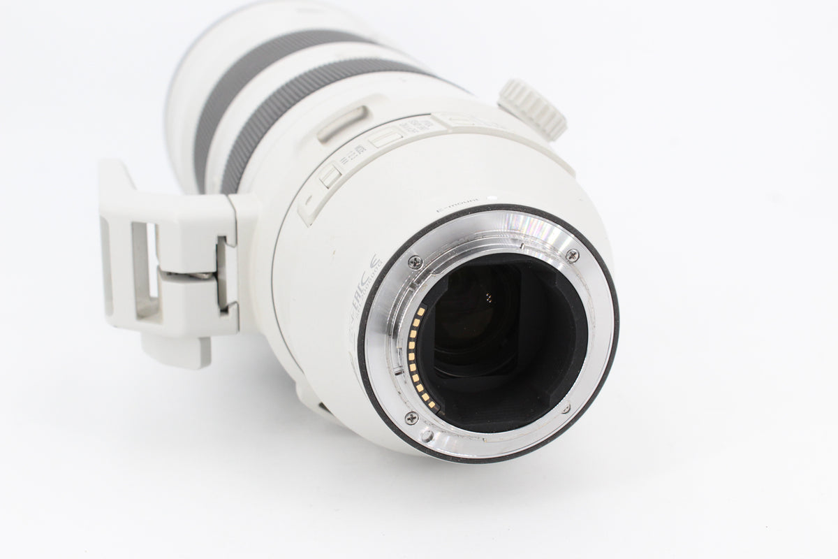 Sony FE 200-600mm f/5.6-6.3 G OSS (occasion) #2