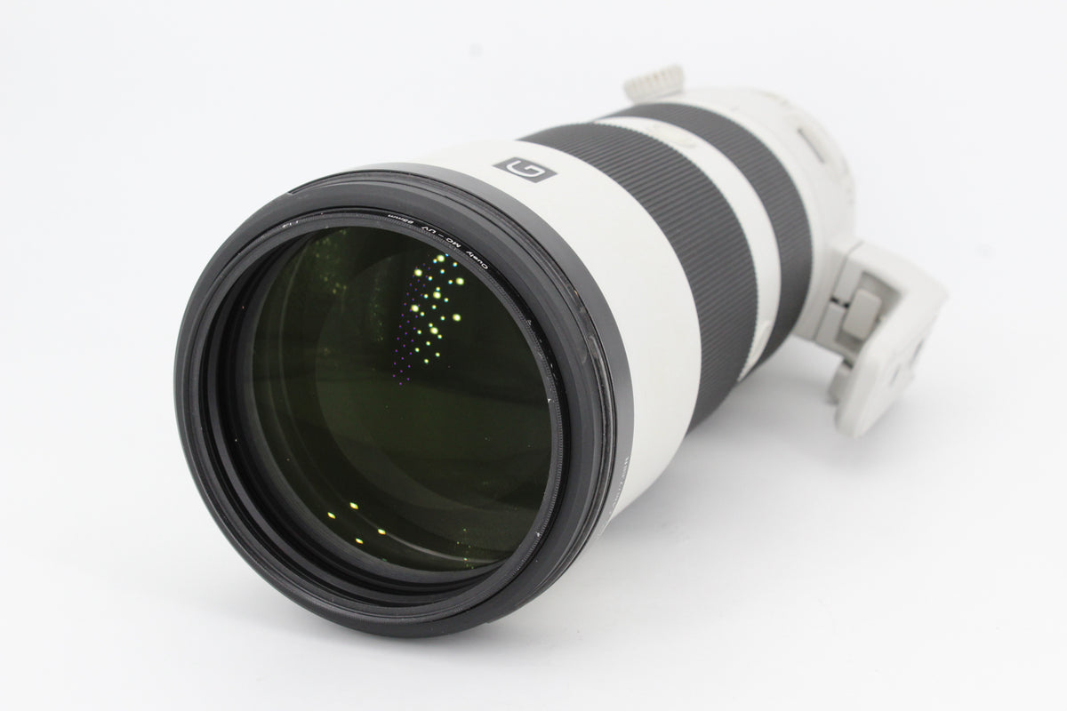 Sony FE 200-600mm f/5.6-6.3 G OSS (occasion)