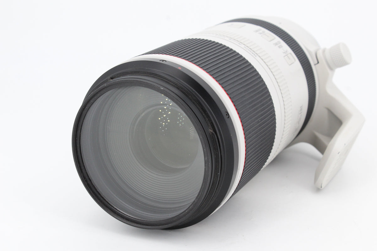 Canon RF 100-500mm f/4,5-7,1 L IS USM (occasion) #2