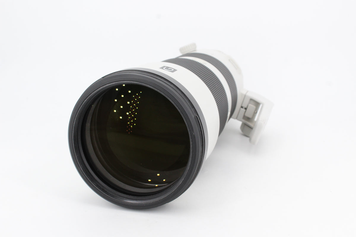 Sony FE 200-600mm f/5.6-6.3 G OSS (occasion) #2