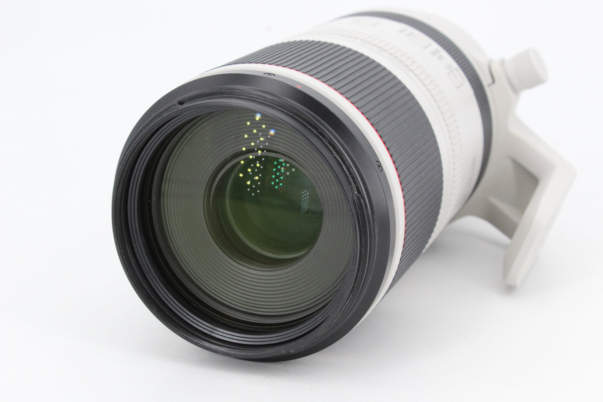 Canon RF 100-500mm f/4,5-7,1 L IS USM (occasion) #3