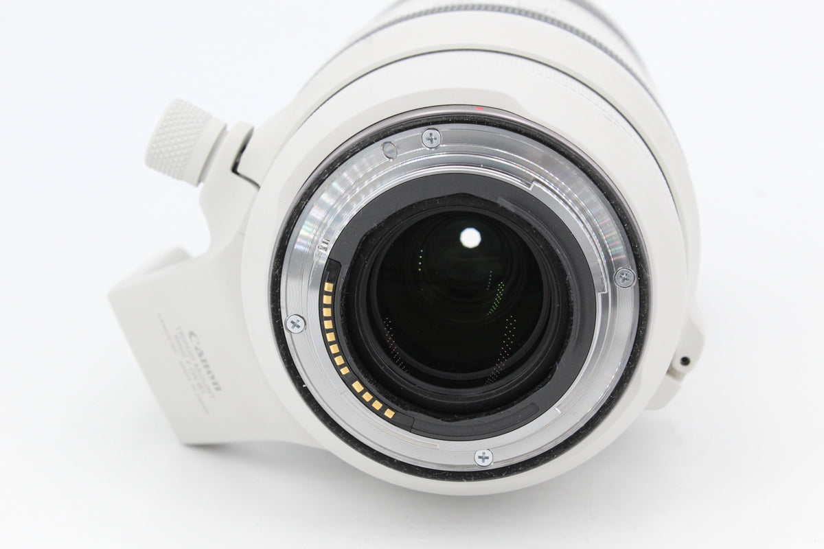 Canon RF 100-500mm f/4,5-7,1 L IS USM (occasion) #3