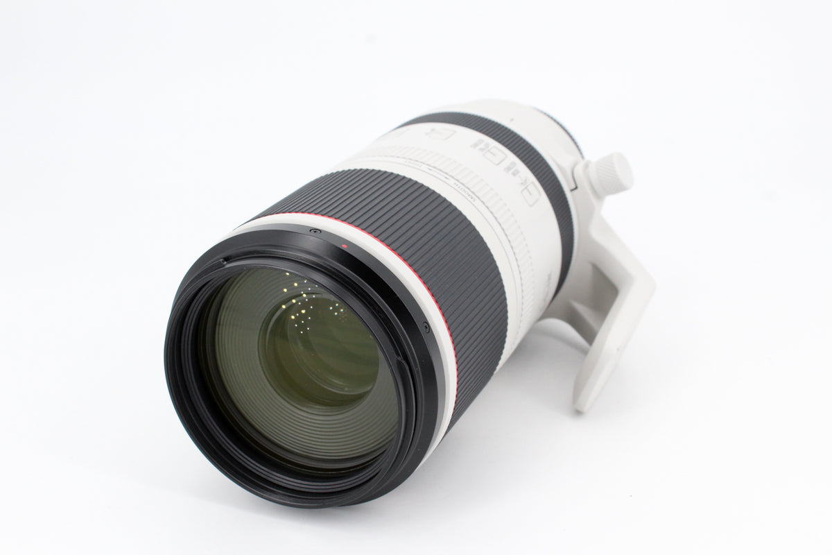 Canon RF 100-500mm f/4,5-7,1 L IS USM (occasion) #4