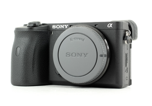 Sony α6600 + Sony E 16-55mm f/2.8 G  (location)