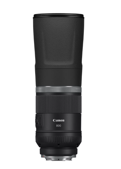 Canon RF 800mm f/11 IS STM (location)