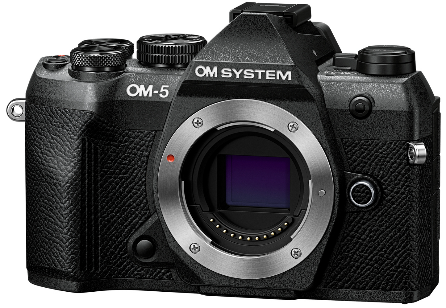 Boitier OM System / Olympus OM-5 Mark II (location)