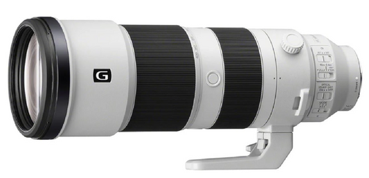 Sony FE 200-600mm f/5.6-6.3 G OSS (location)