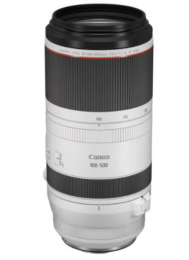 Canon RF 100-500mm f/4.5-7.1 L IS USM (location)